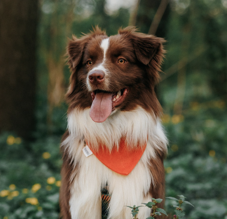 Банданы на резинке